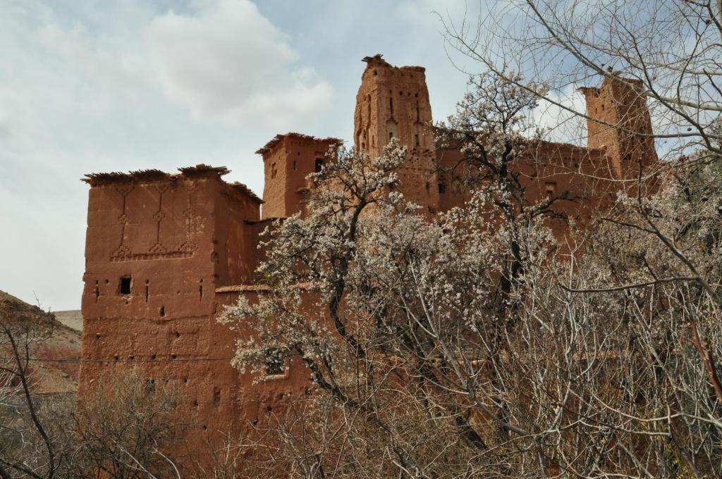 Kasbah Tigmi N'Oufella Bed and Breakfast Telouet Esterno foto
